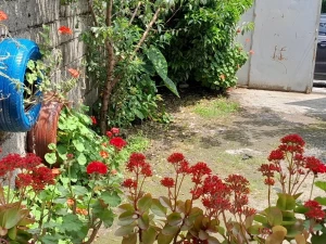 ویلا ساحلی شریفی ویلا ساحلی شریفی