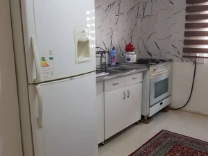 باغ بادوم مدرن استخردار بومهن باغ بادوم مدرن استخردار بومهن