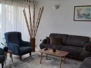 آپارتمان یک خوابه ساحلی کیش آپارتمان یک خوابه ساحلی کیش