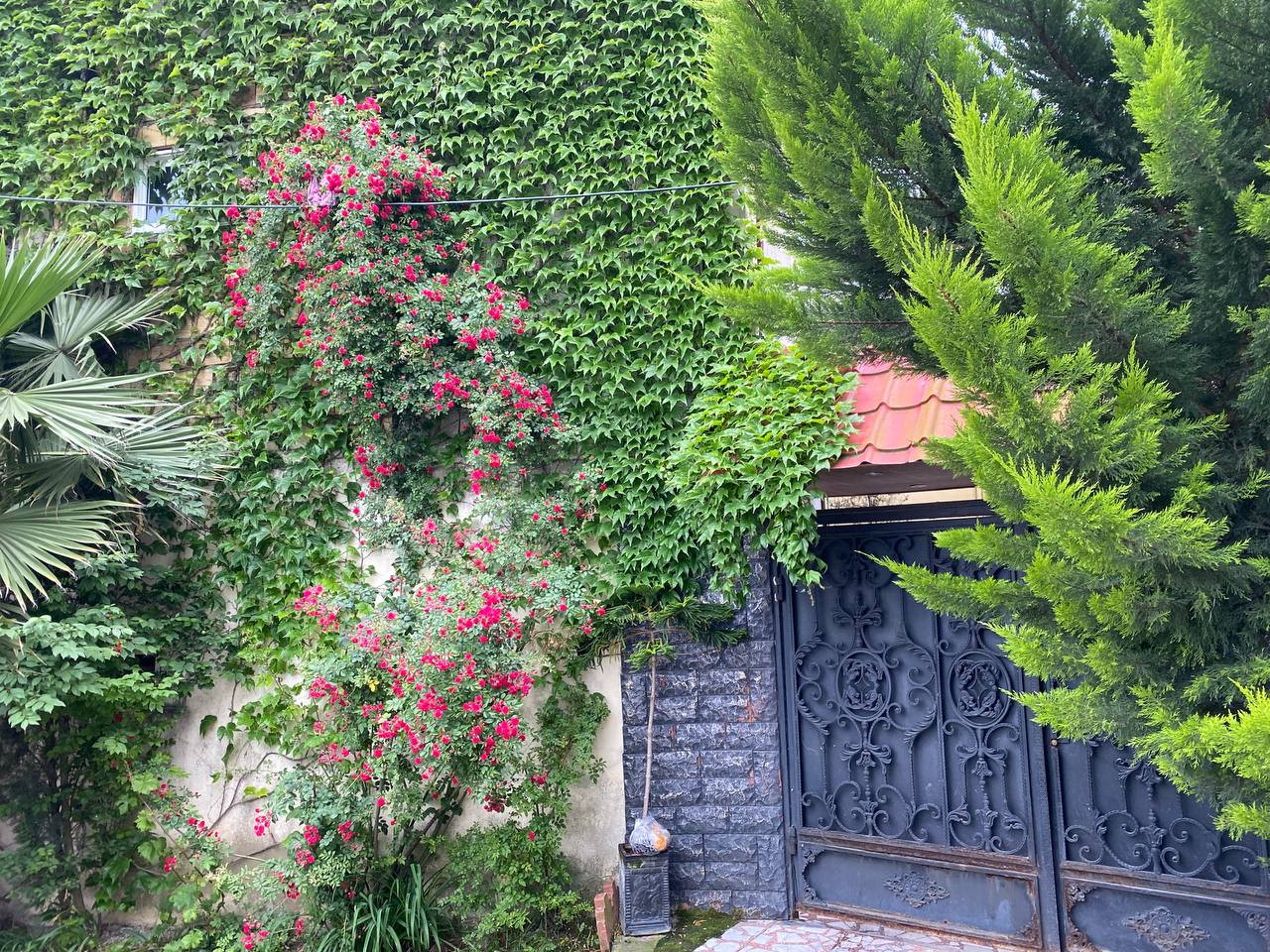 ویلا دوخوابه فریدونکنار