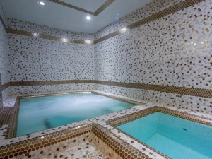 مجموعه آبی  هتل سنتی نیایش شیراز