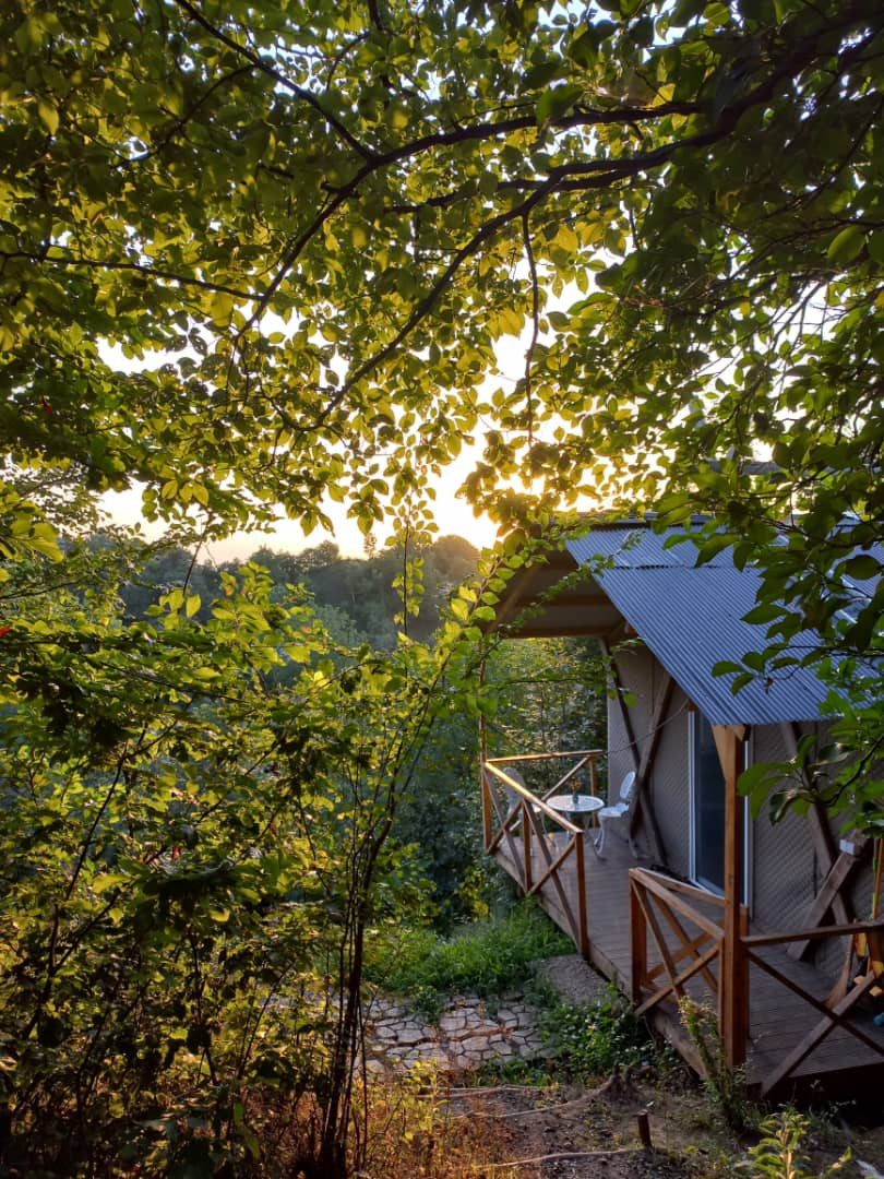 کلبه جنگلی ماسو لاهیجان