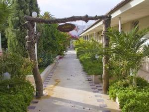 محوطه هتل آناهیتا شیراز محوطه هتل آناهیتا شیراز