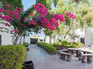 محوطه هتل ققنوس کیش محوطه هتل ققنوس کیش