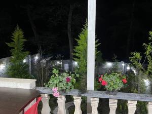 ویلا جاده دو هزار ویلا جاده دو هزار