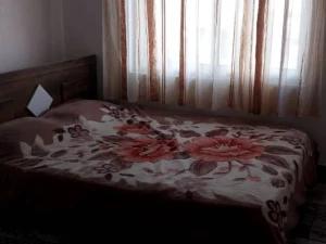 آپارتمان یک خوابه جنگلی تنکابن آپارتمان یک خوابه جنگلی تنکابن