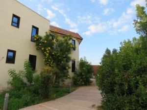 هتل ناجی جیرفت هتل ناجی جیرفت