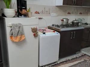 سوئیت فلت شادکانی مشهد سوئیت فلت شادکانی مشهد