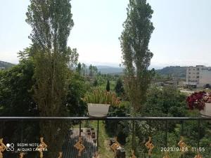 سوئیت آپارتمان جنگلبانی بابل سوئیت آپارتمان جنگلبانی بابل