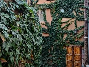 اقامتگاه بوم گردی آرامش برزک اقامتگاه بوم گردی آرامش برزک