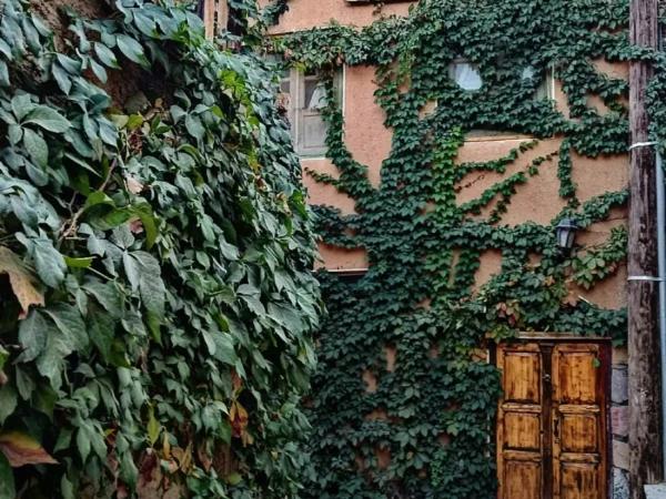 اقامتگاه بوم گردی آرامش برزک اقامتگاه بوم گردی آرامش برزک