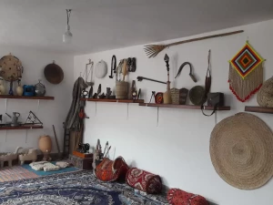 اقامتگاه بوم گردی پردیس شهر جم بوشهر اقامتگاه بوم گردی پردیس شهر جم بوشهر