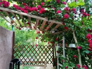 اقامتگاه بومگردی آنیل جلفا اقامتگاه بومگردی آنیل جلفا