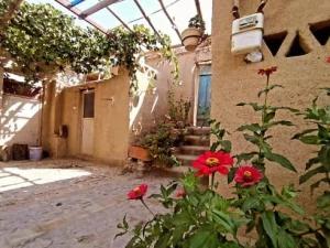 اقامتگاه بومگردی خانه امید 2 بیارجمند اقامتگاه بومگردی خانه امید 2 بیارجمند