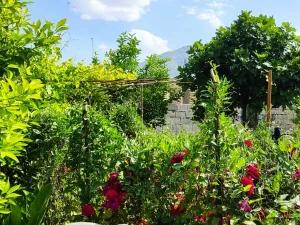 ویلا یک خوابه محمدی ایذه ویلا یک خوابه محمدی ایذه