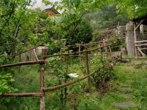 اقامتگاه بومگردی مازیار دره زیرآب سوادکوه