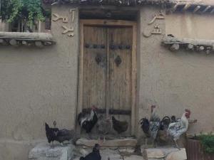 اقامتگاه بوم گردی سرای هما سپیدان اقامتگاه بوم گردی سرای هما سپیدان