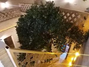 اقامتگاه بومگردی قصرالدشت شیراز اقامتگاه بومگردی قصرالدشت شیراز