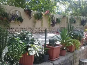 اقامتگاه بوم گردی باغ شریف بافت اقامتگاه بوم گردی باغ شریف بافت