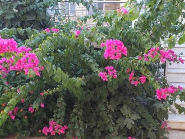 آپارتمان دوخوابه محمدیان کاشان آپارتمان دوخوابه محمدیان کاشان