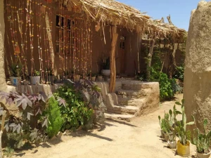 اقامتگاه بوم گردی عمارت قلعه خواجه ورامین اقامتگاه بوم گردی عمارت قلعه خواجه ورامین