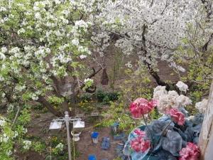 اقامتگاه بوم گردی آرتین دماوند اقامتگاه بوم گردی آرتین دماوند