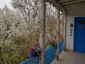 اقامتگاه بوم گردی آرتین دماوند اقامتگاه بوم گردی آرتین دماوند