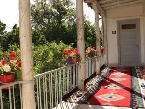 اقامتگاه بوم گردی آرتین دماوند اقامتگاه بوم گردی آرتین دماوند