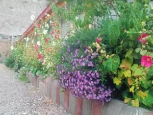 اقامتگاه بوم گردی تقی زاده اسکو اقامتگاه بوم گردی تقی زاده اسکو