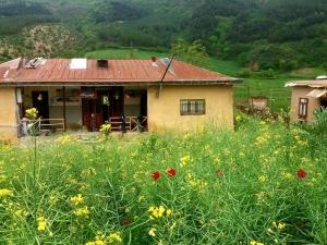 اقامتگاه بوم گردی ترکمن یاشار کلاله اقامتگاه بوم گردی ترکمن یاشار کلاله