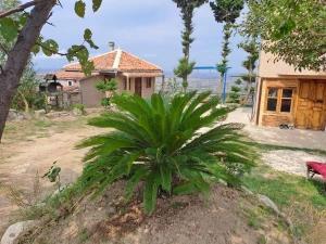 اقامتگاه بوم گردی قلعه موسی بهشهر اقامتگاه بوم گردی قلعه موسی بهشهر