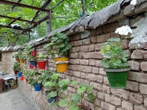 اقامتگاه بومگردی سرای خرم خوانسار اقامتگاه بومگردی سرای خرم خوانسار