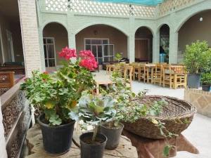 اقامتگاه بوم گردی شاباز ورزنه اقامتگاه بوم گردی شاباز ورزنه