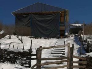 اقامتگاه بوم گردی ونوشه بهشهر اقامتگاه بوم گردی ونوشه بهشهر