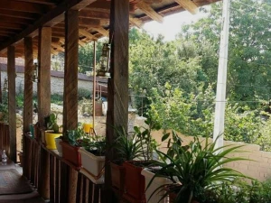 اقامتگاه بوم گردی ونوشه بهشهر اقامتگاه بوم گردی ونوشه بهشهر