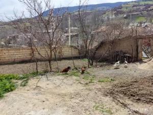 اقامتگاه بوم گردی شرشری بهشهر اقامتگاه بوم گردی شرشری بهشهر