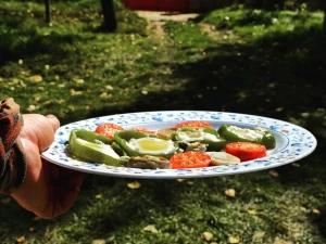 اقامتگاه بوم گردی میا بهشهر اقامتگاه بوم گردی میا بهشهر