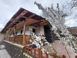 اقامتگاه بوم گردی عمو سامی بهشهر اقامتگاه بوم گردی عمو سامی بهشهر