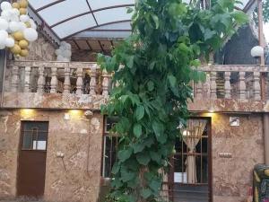 اقامتگاه بوم گردی آتا باغی اسکو اقامتگاه بوم گردی آتا باغی اسکو