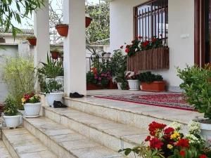 اقامتگاه بوم گردی سینوا گرگان اقامتگاه بوم گردی سینوا گرگان