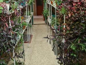 اقامتگاه بوم گردی سینوا گرگان اقامتگاه بوم گردی سینوا گرگان