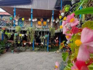 اقامتگاه بوم گردی خانه سبز گرگان اقامتگاه بوم گردی خانه سبز گرگان