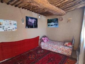 اقامتگاه بوم گردی چغازنبیل احمد شوش اقامتگاه بوم گردی چغازنبیل احمد شوش