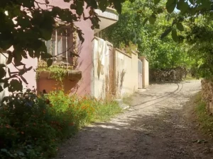 اقامتگاه بوم گردی شوکا شهمیرزاد اقامتگاه بوم گردی شوکا شهمیرزاد