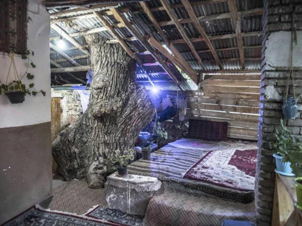 اقامتگاه بوم گردی خانه رودبار شهمیرزاد اقامتگاه بوم گردی خانه رودبار شهمیرزاد