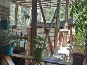 اقامتگاه بوم گردی خانه رودبار شهمیرزاد اقامتگاه بوم گردی خانه رودبار شهمیرزاد