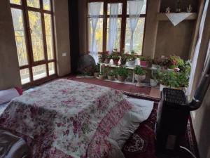 اقامتگاه بوم گردی آرتیمان تویسرکان اقامتگاه بوم گردی آرتیمان تویسرکان