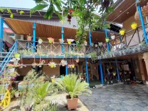 اقامتگاه بوم گردی خانه سبز گرگان اقامتگاه بوم گردی خانه سبز گرگان