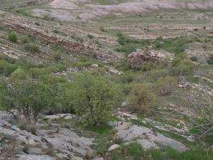 اقامتگاه بوم گردی سکه سان دره شهر اقامتگاه بوم گردی سکه سان دره شهر