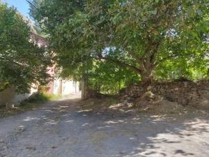 اقامتگاه بوم گردی شوکا شهمیرزاد اقامتگاه بوم گردی شوکا شهمیرزاد